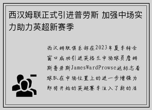 西汉姆联正式引进普劳斯 加强中场实力助力英超新赛季 西汉姆联正式引进普劳斯 加强中场实力助力英超新赛季